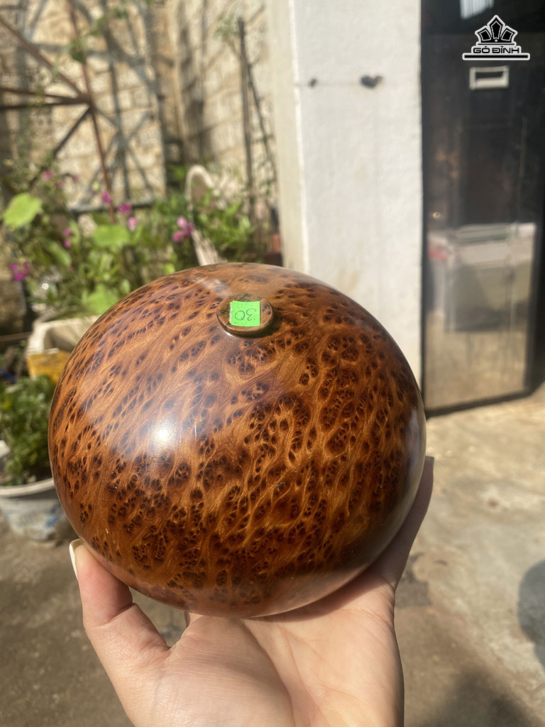 Chum Phú Quý Gỗ Nu Ngọc Am Cao 12 Đường Kính 15 (cm)