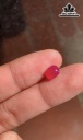 Viên Đá Ruby Lục Yên Cao 7,9 Ngang 6,1 Sâu 3,8 (mm) 1,7cts