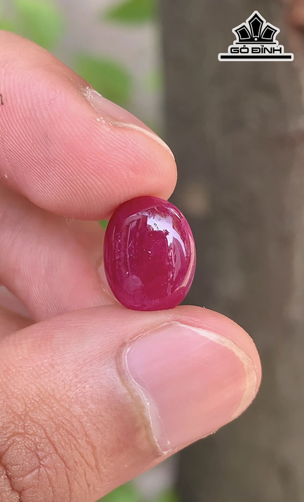 Viên Đá Ruby Yên Bái 7,6cts