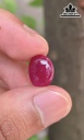 Viên Đá Ruby Yên Bái 7,6cts