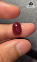 Viên Đá Ruby Yên Bái Cao 12 Ngang 8 Sâu 5 (mm) 5,4cts
