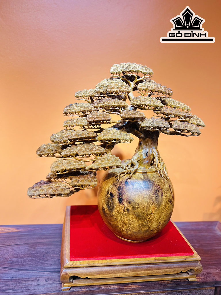 Bình Tùng Bonsai Gỗ Nu Hương Cao 65 Ngang 65 Sâu 30 (cm)