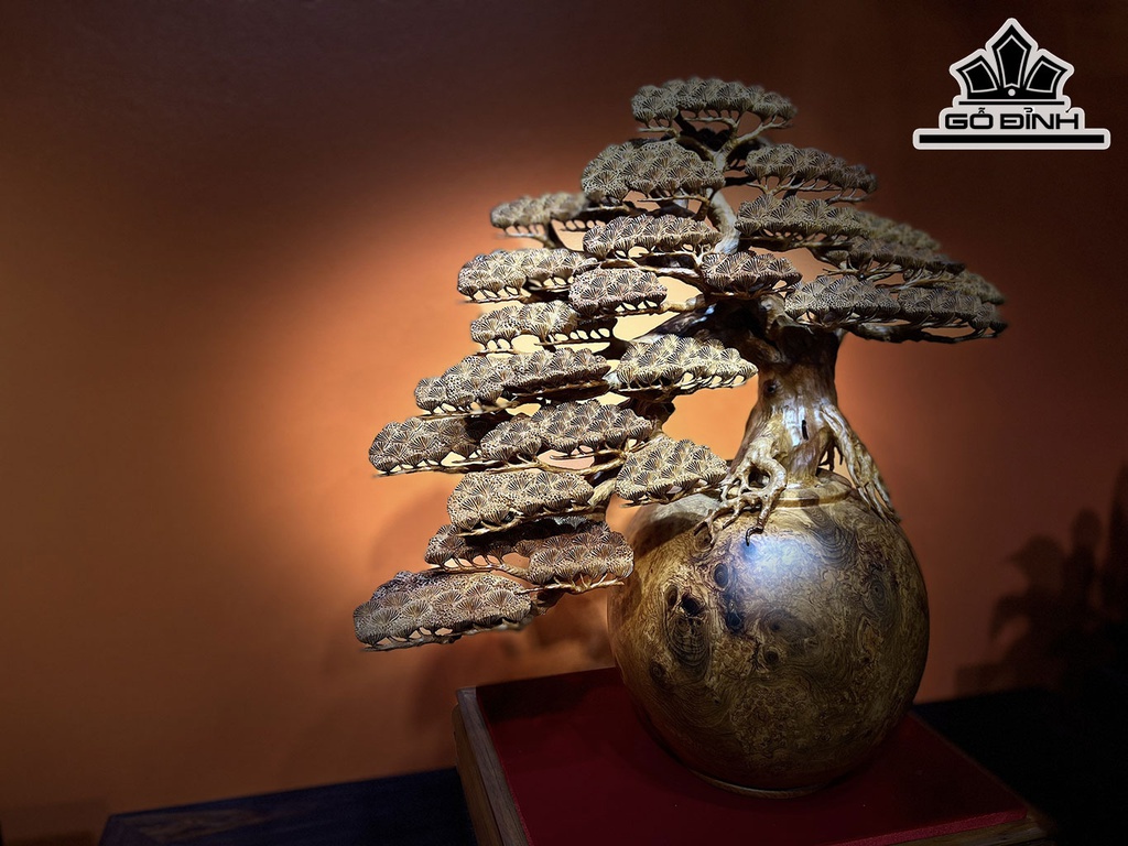 Bình Tùng Bonsai Gỗ Nu Hương Cao 65 Ngang 65 Sâu 30 (cm)