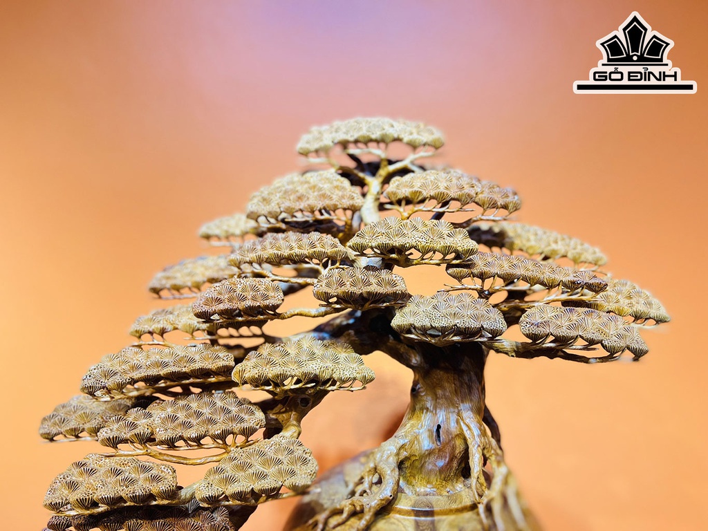 Bình Tùng Bonsai Gỗ Nu Hương Cao 65 Ngang 65 Sâu 30 (cm)