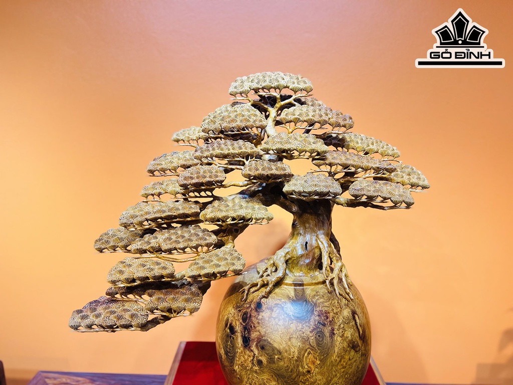Bình Tùng Bonsai Gỗ Nu Hương Cao 65 Ngang 65 Sâu 30 (cm)