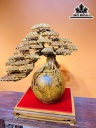 Bình Tùng Bonsai Gỗ Nu Hương Cao 65 Ngang 65 Sâu 30 (cm)