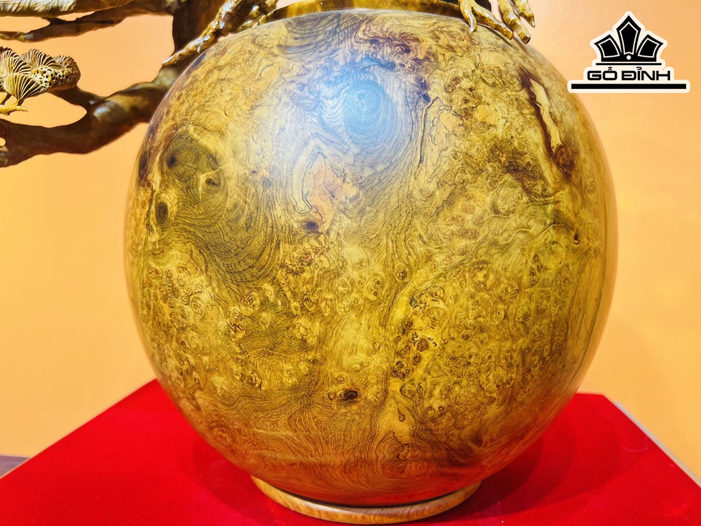 Bình Tùng Bonsai Gỗ Nu Hương Cao 65 Ngang 65 Sâu 30 (cm)