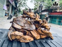 Tượng Bát Mã Truy Phong Gỗ Bách Xanh Cao
