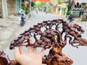 Tượng Bát Mã Truy Phong Gỗ Cẩm Cao 60 Ngang 110 Sâu 30 (cm)