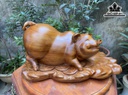 Tượng Heo Gỗ Ngọc Am Cao 25 Ngang 51 Sâu 30 (cm)