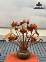 Bình Hoa Sen Gỗ Hương Cao 64 Ngang 65 Sâu 44 (cm)