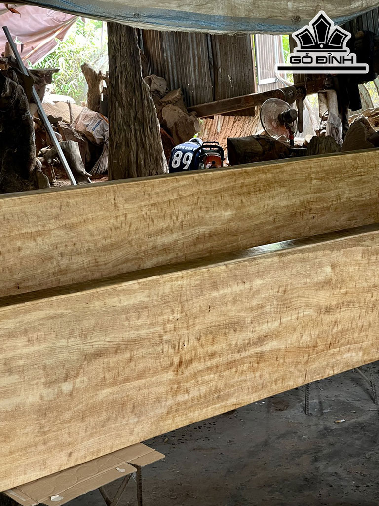 Bộ Bàn Ghế K3 Gỗ Nu Xá Xị Dài 314 Rộng 100 Dày 14,5 (cm)
