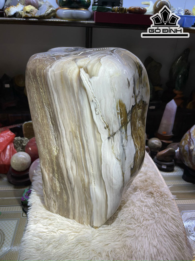 Tác Phẩm Gỗ Hóa Ngọc Cao 55 (cm) 27kg