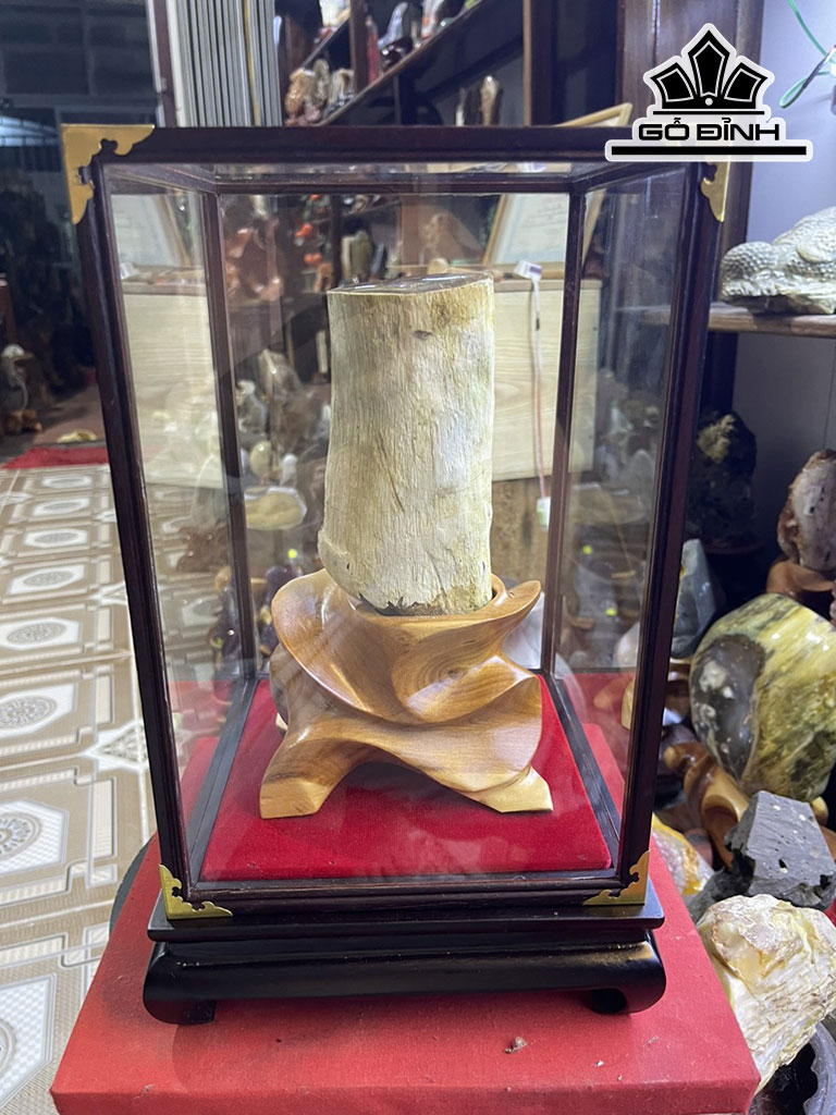 Tác Phẩm Gỗ Hóa Thạch Cao 24 (cm) 1,8kg