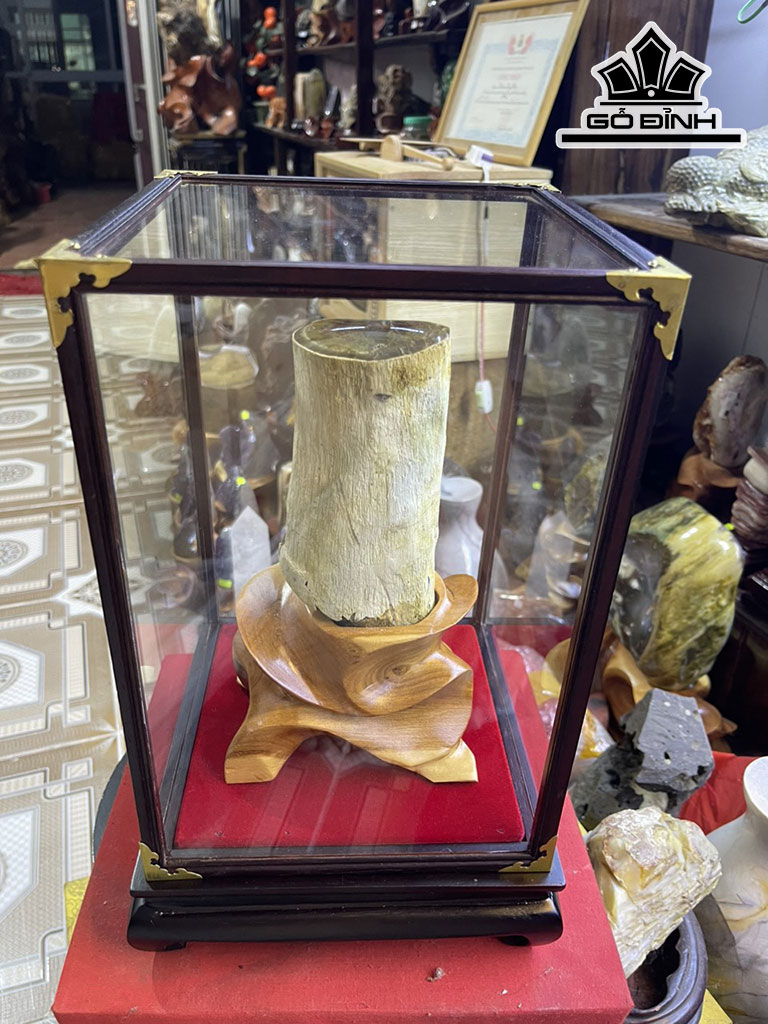 Tác Phẩm Gỗ Hóa Thạch Cao 24 (cm) 1,8kg