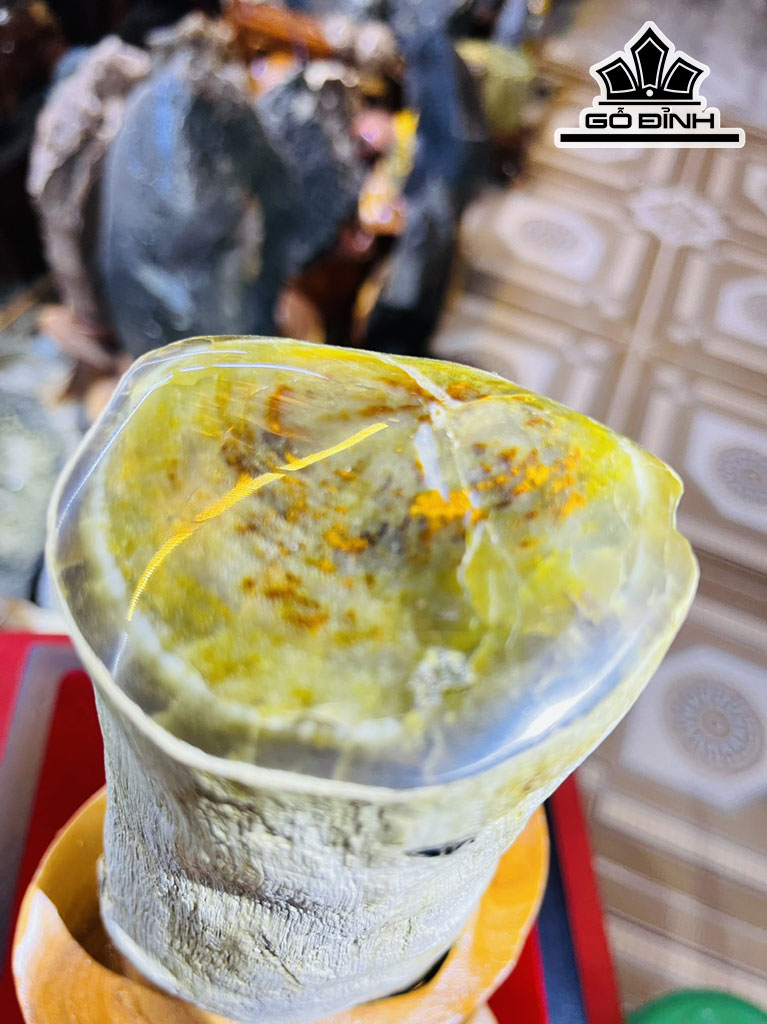 Tác Phẩm Gỗ Hóa Thạch Cao 24 (cm) 1,8kg