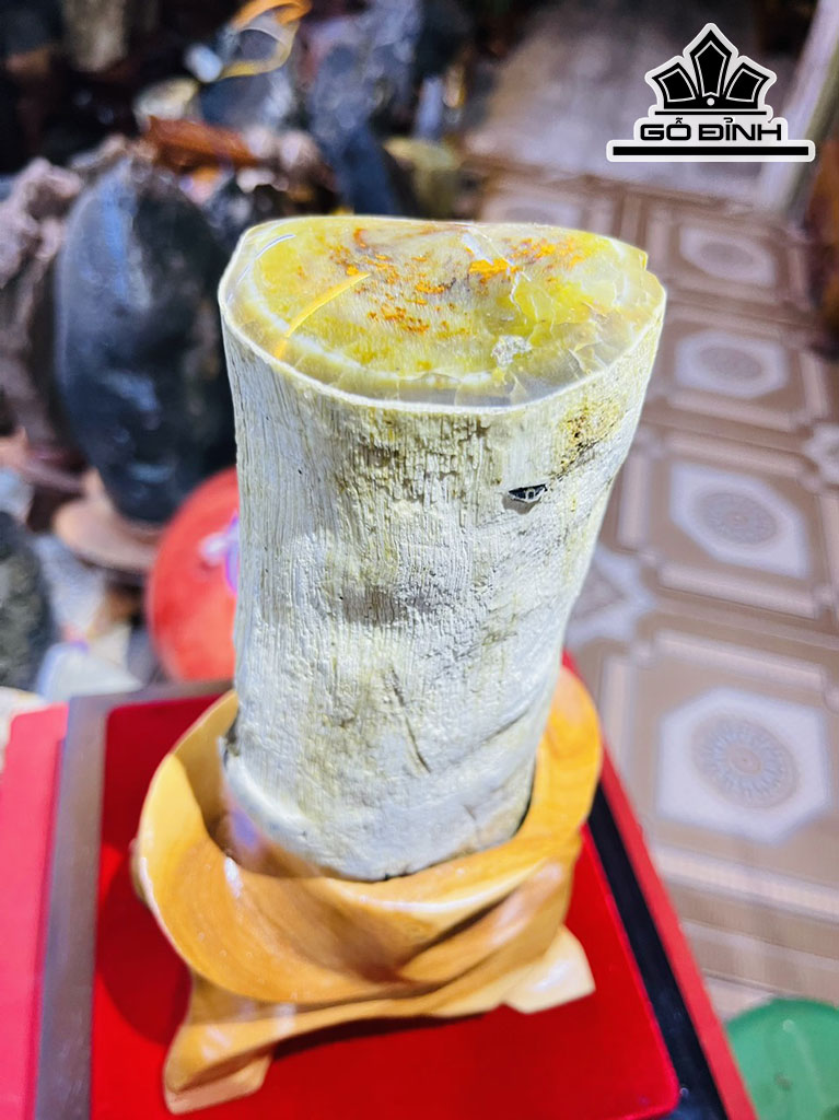 Tác Phẩm Gỗ Hóa Thạch Cao 24 (cm) 1,8kg