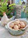 Bát Gà Gốm Tàu