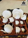 Bộ Ấm Chén Màu Trắng Gốm Tàu