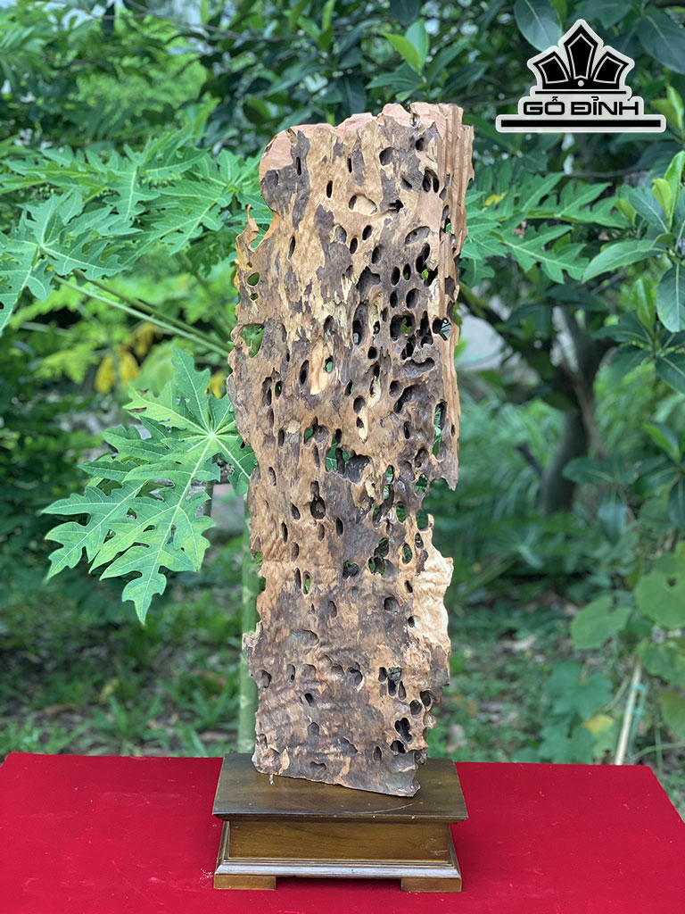 Tượng Nhất Tâm Bái Phật Gỗ Lũa Đinh Hương Cao 81 Ngang 30 Sâu 14 (cm)