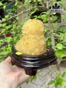 Tác Phẩm Mầm Tinh Thể Đá Thạch Anh Vàng Cao 14 Ngang 9 (cm) 1,01kg