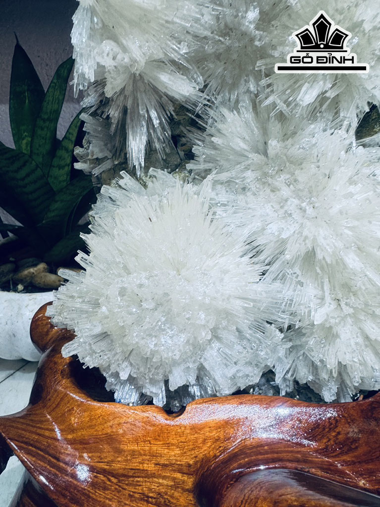 Bông Hoa Ưu Đàm Đá Trầm Tích Cao 37 Ngang 17 (cm) 6,6kg