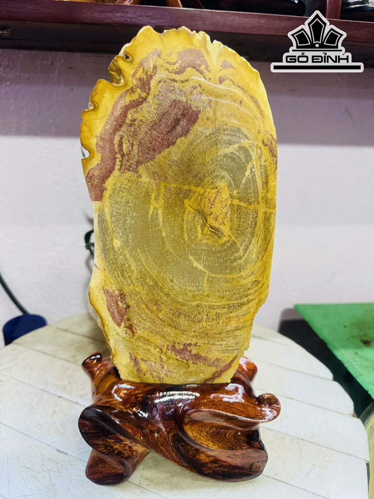 Tác Phẩm Gỗ Hóa Thạch Cao 32 Ngang 13 (cm) 2,2kg