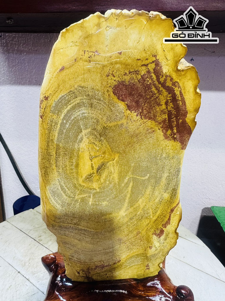 Tác Phẩm Gỗ Hóa Thạch Cao 32 Ngang 13 (cm) 2,2kg