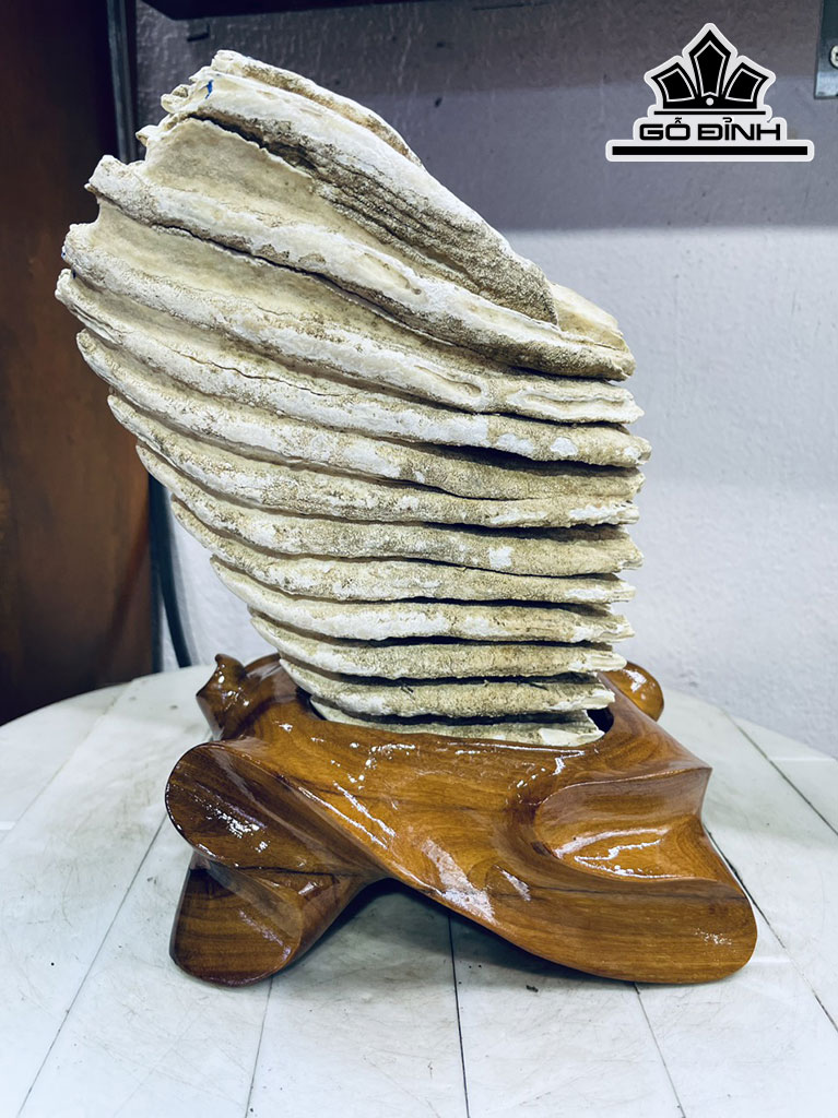 Tác Phẩm Răng Voi Gỗ Hóa Thạch Cao 25 Ngang 16 (cm) 3,3kg