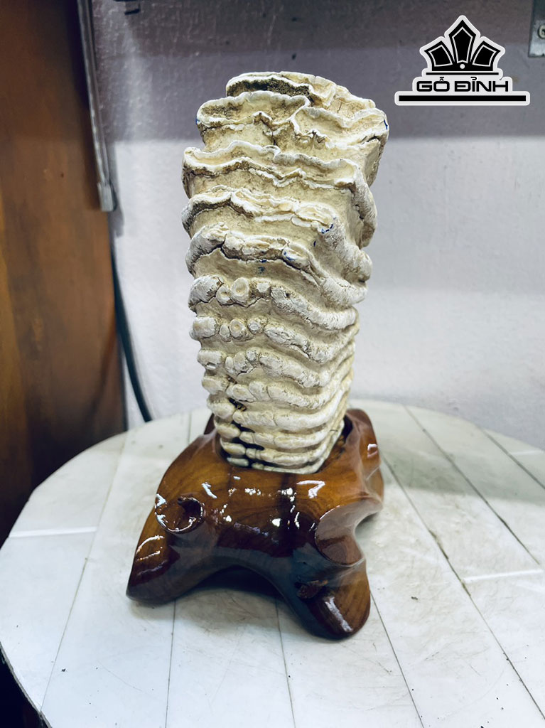 Tác Phẩm Răng Voi Gỗ Hóa Thạch Cao 25 Ngang 16 (cm) 3,3kg