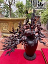 cap-binh-mai-go-trac-cao-48-ngang-46-sau-38-cm-418780