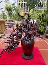 cap-binh-mai-go-trac-cao-48-ngang-46-sau-38-cm-418784