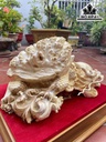 tuong-long-quy-go-nu-nghien-cao-25-ngang-50-sau-30-cm-418826
