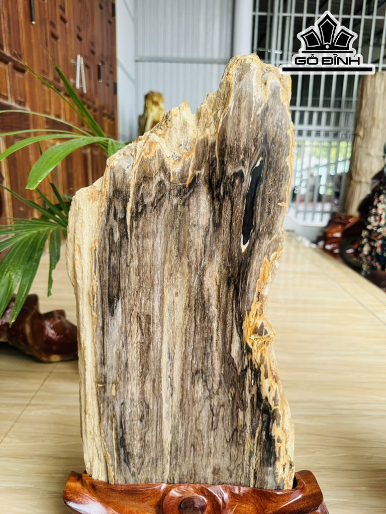Tác Phẩm Gỗ Hóa Thạch Cao 60 Ngang 26 (cm) 5,7kg