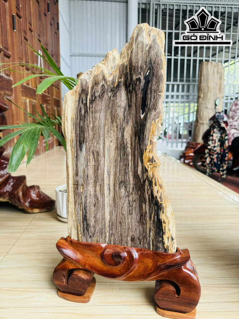 Tác Phẩm Gỗ Hóa Thạch Cao 60 Ngang 26 (cm) 5,7kg