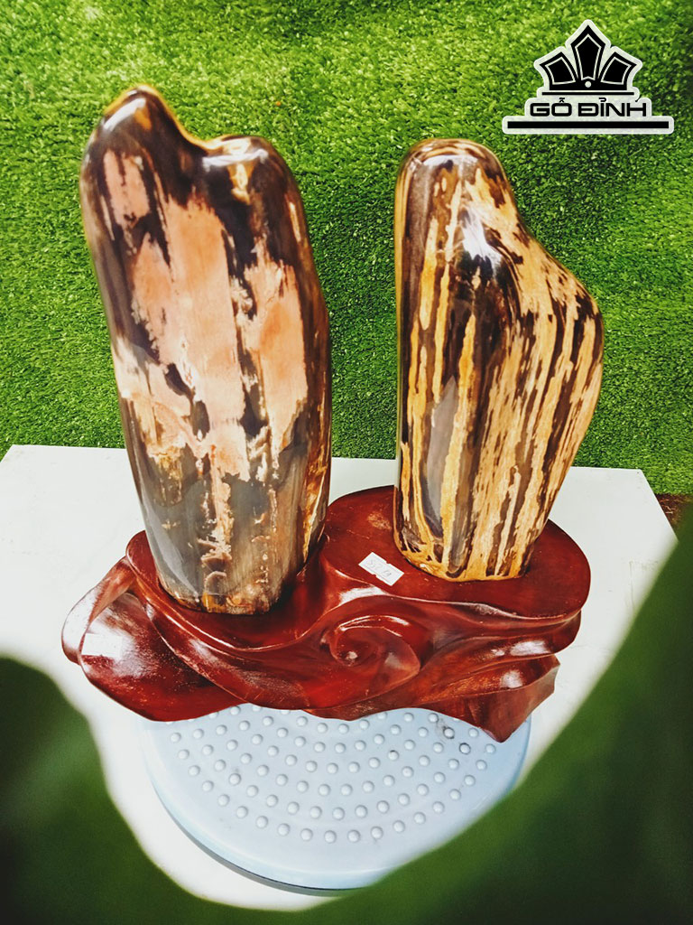 Tác Phẩm Cặp Gỗ Hóa Thạch Cao 33 Ngang 20 (cm) 5kg