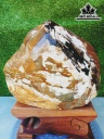 Tác Phẩm Gỗ Hóa Ngọc Cao 27 Ngang 22 (cm) 5,5kg