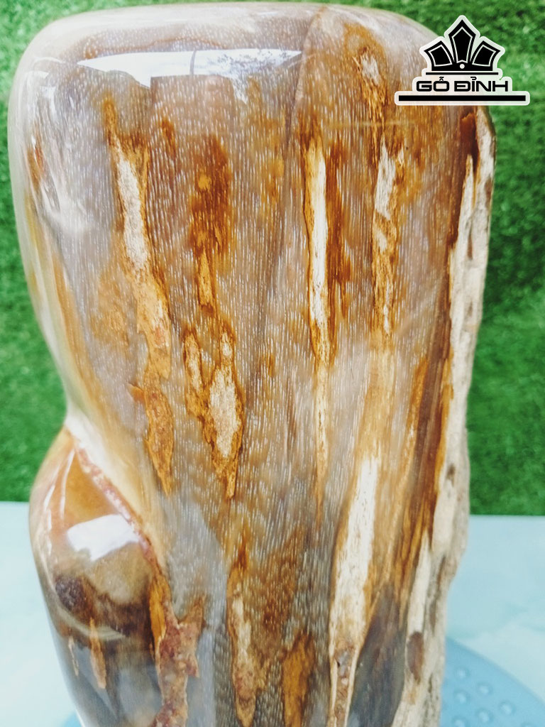 Tác Phẩm Gỗ Hóa Thạch Cao 26 Ngang 10 (cm) 3,6kg