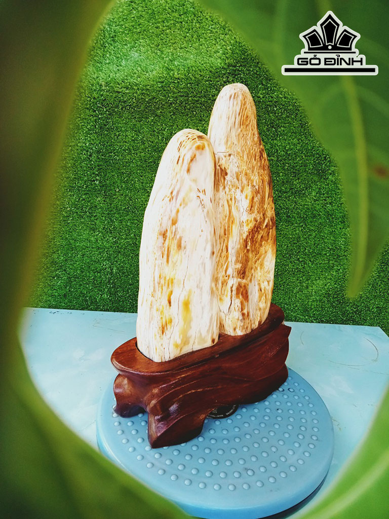 Tác Phẩm Gỗ Hóa Thạch Cao 32 Ngang 16 (cm) 3,5kg
