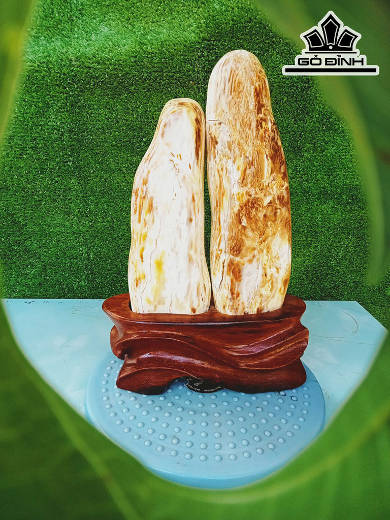 Tác Phẩm Gỗ Hóa Thạch Cao 32 Ngang 16 (cm) 3,5kg