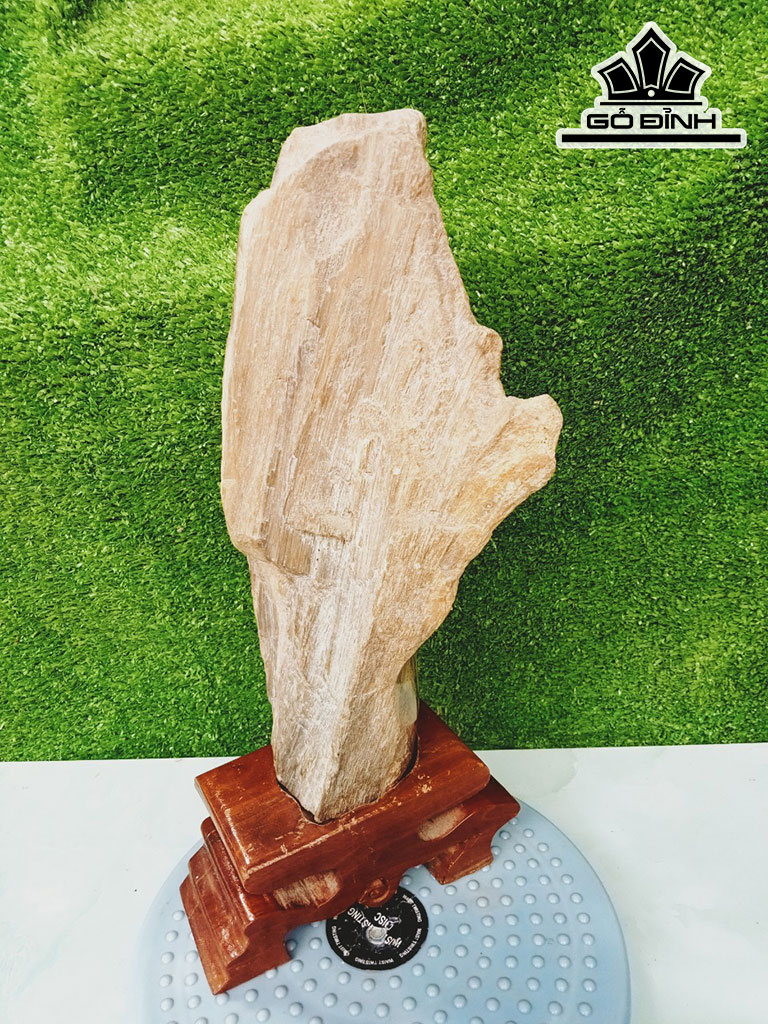 Tác Phẩm Gỗ Hóa Thạch Cao 38 Ngang 9 (cm) 4kg