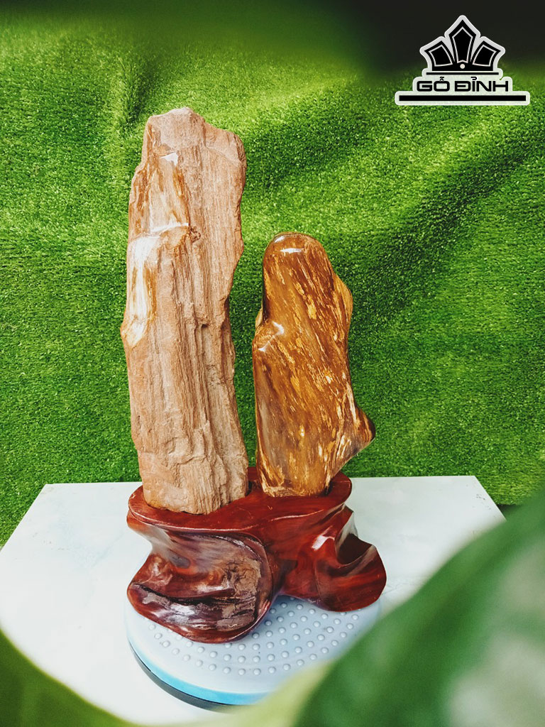 Tác Phẩm Gỗ Hóa Thạch Cao 42 Ngang 20 (cm) 6kg