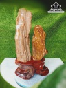 Tác Phẩm Gỗ Hóa Thạch Cao 42 Ngang 20 (cm) 6kg