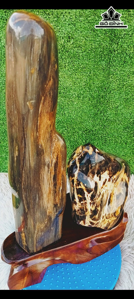 Tác Phẩm Gỗ Hóa Thạch Cao 45 Ngang 24 (cm) 8kg