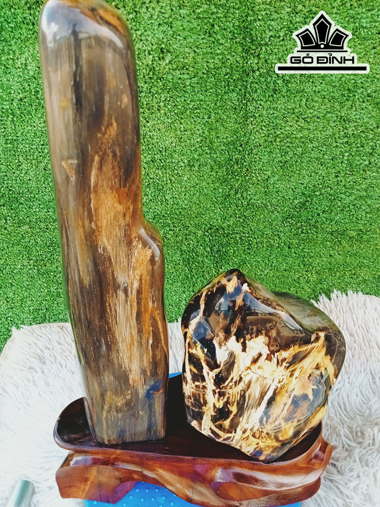 Tác Phẩm Gỗ Hóa Thạch Cao 45 Ngang 24 (cm) 8kg