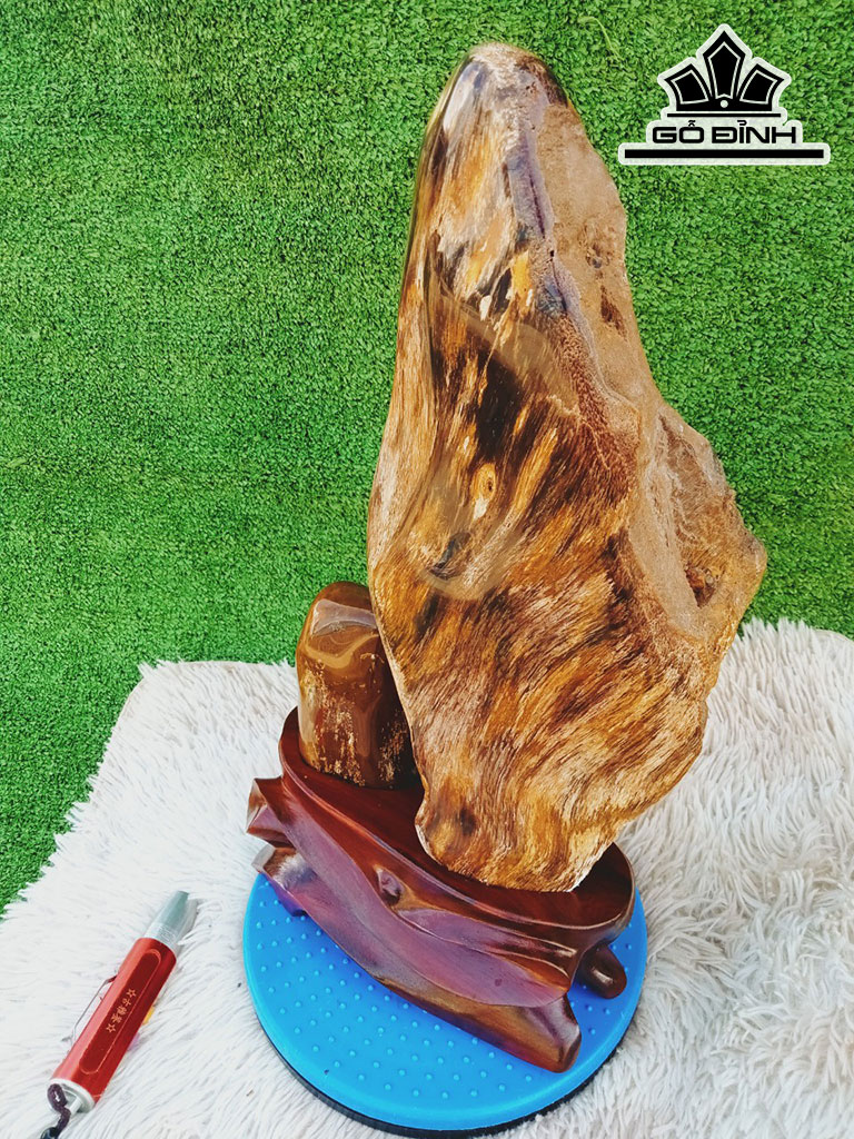 Tác Phẩm Gỗ Hóa Thạch Cao 46 Ngang 22 (cm) 8,6kg