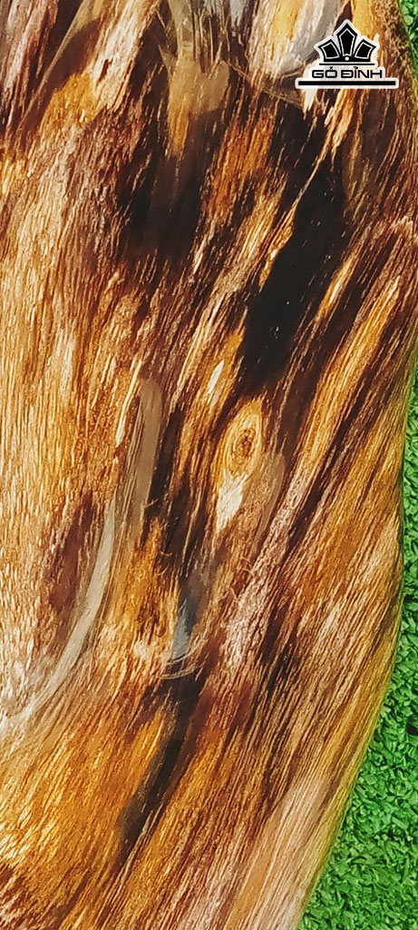 Tác Phẩm Gỗ Hóa Thạch Cao 46 Ngang 22 (cm) 8,6kg