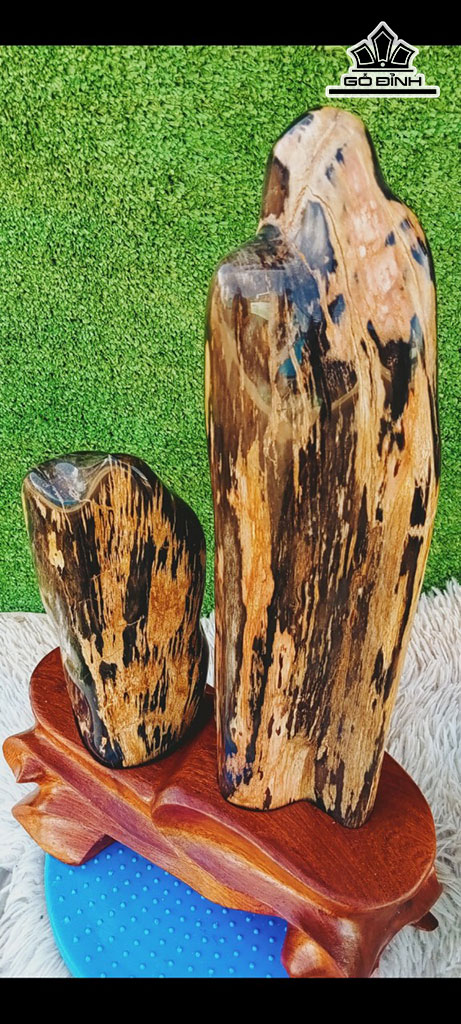 Tác Phẩm Gỗ Hóa Thạch Cao 47 Ngang 23 (cm) 8,2kg