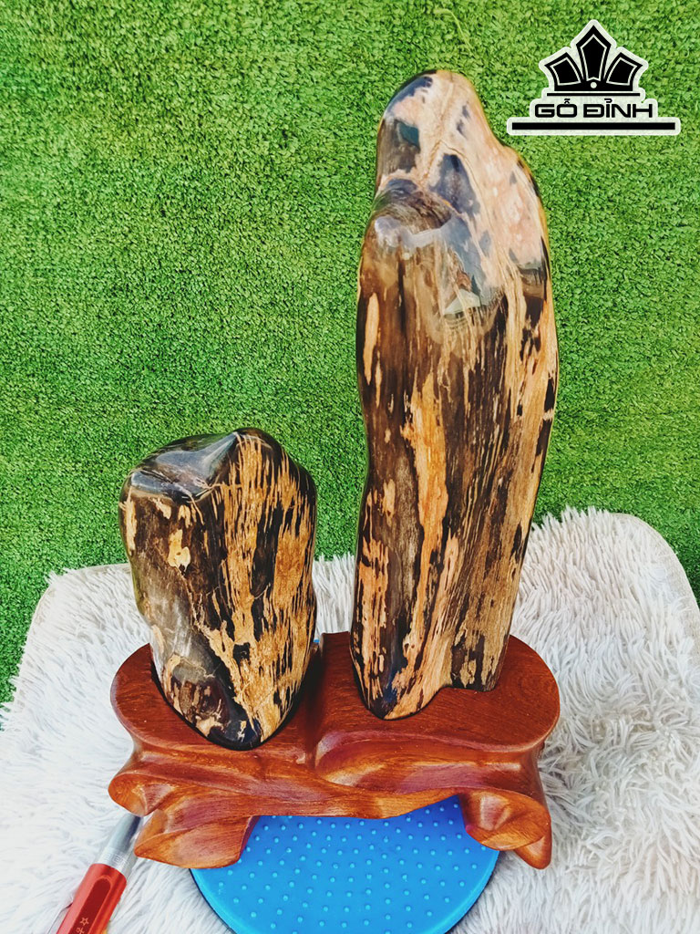 Tác Phẩm Gỗ Hóa Thạch Cao 47 Ngang 23 (cm) 8,2kg