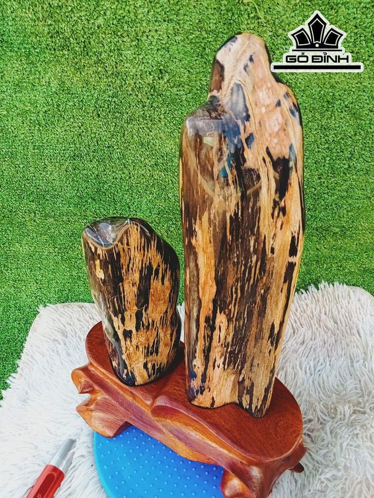 Tác Phẩm Gỗ Hóa Thạch Cao 47 Ngang 23 (cm) 8,2kg